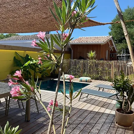 Casa Alegria Maison Avec Piscine